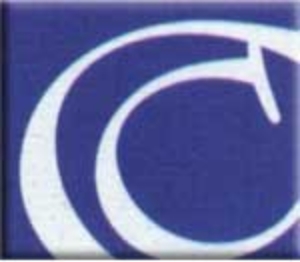 Logo for Centeno Figueroa & Co. CPA, PSC Logo for Centeno Figueroa & Co. CPA, PSC