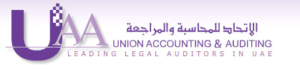 Logo for Union Accounting & Auditing Logo for Union Accounting & Auditing